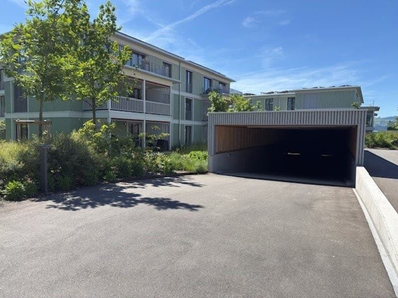 Garageneinfahrt.jpg