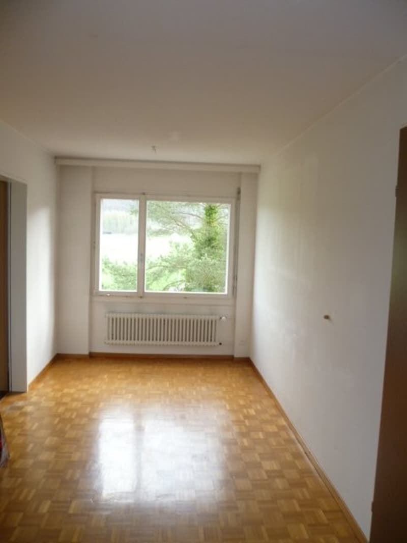 Zimmer_2.png