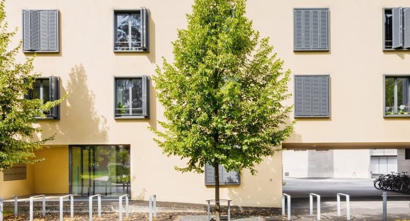 Pflanzschulstrasse_Vorne.png