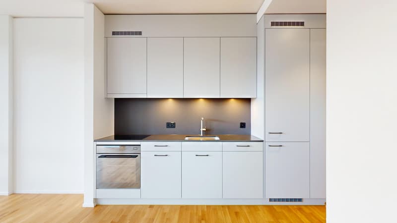1.5 room apartment in Zurich (2)