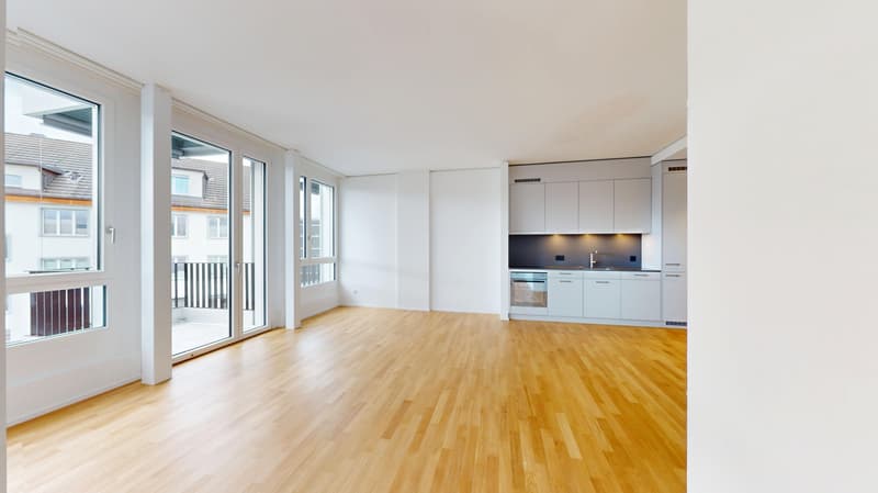 1.5 room apartment in Zurich (1)