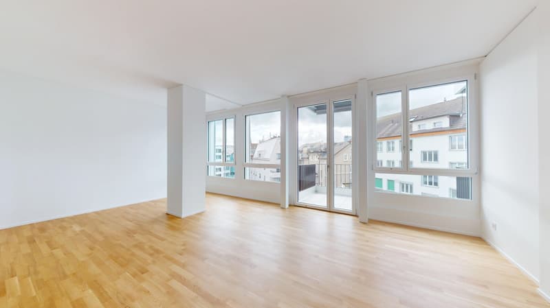 Appartamento 1.5 locali a Zurigo (3)