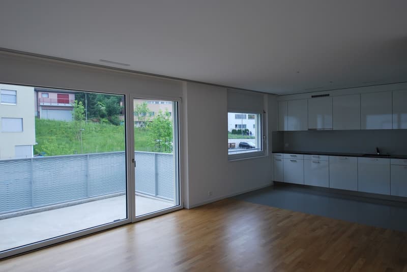 Bel appartement 4.5 pièces à louer (3)