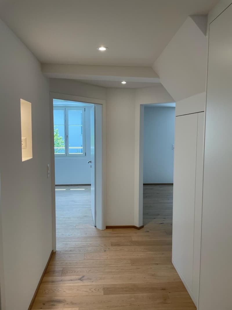 Appartement 3.5 pièces à louer près de Schifflände et Untersee (5)