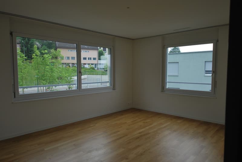 Schöne 4.5-Zimmerwohnung zu vermieten (5)