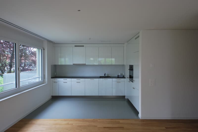 Schöne 4.5-Zimmerwohnung zu vermieten (2)