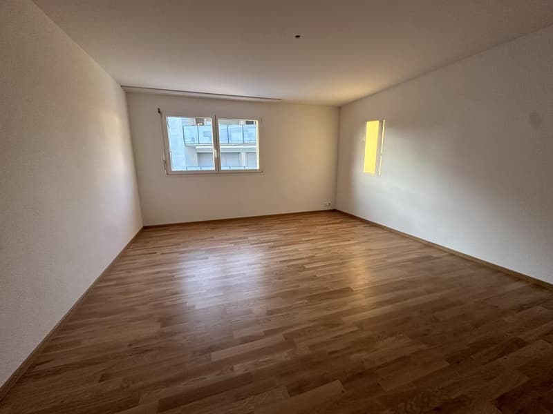 Bright 5.5-room apartment for rent in Oberland (5)