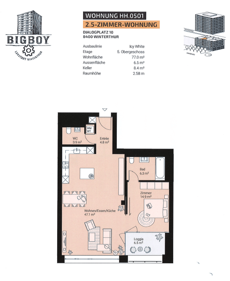 Moderne 2.5-Zimmerwohnung in der Lokstadt (7)