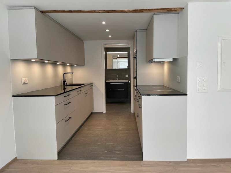 Appartamento 3.5 locali in affitto vicino a Schifflände e Untersee (2)