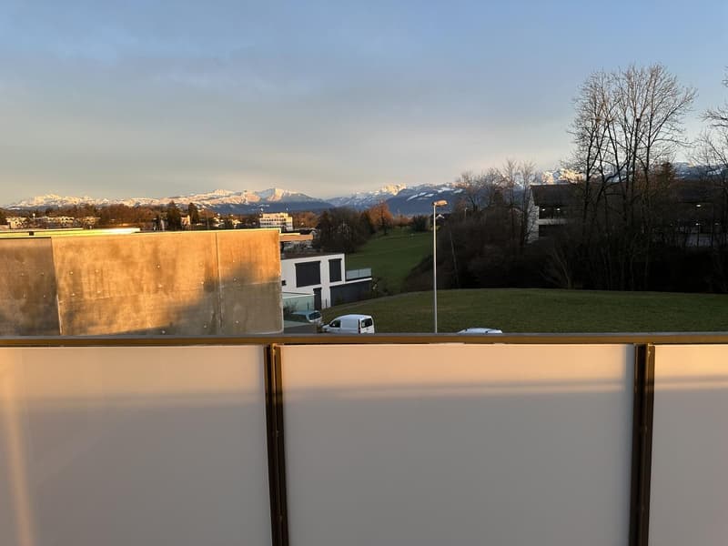 Lichtdurchflutete 5.5-Zimmerwohnung im Oberland zu vermieten (13)