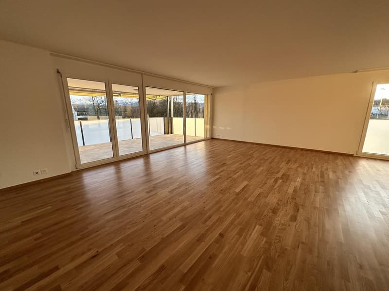 Appartement de 5,5 pièces lumineux à louer dans l'Oberland (2)