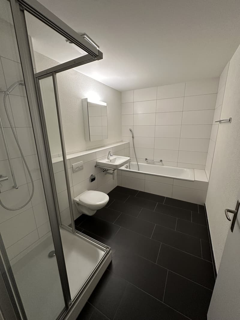 Appartement de 5,5 pièces lumineux à louer dans l'Oberland (10)