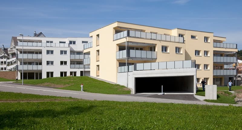 Appartement de 5,5 pièces lumineux à louer dans l'Oberland (1)