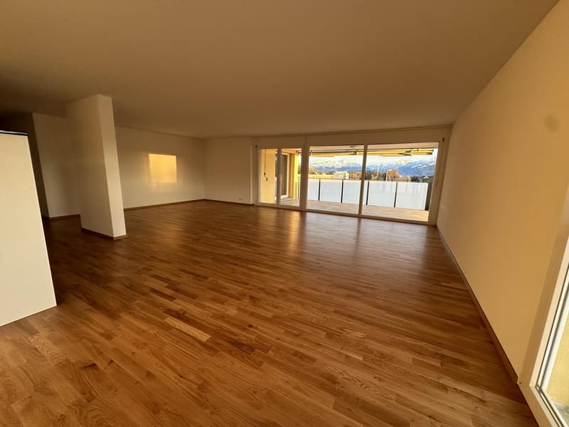 Appartement de 5,5 pièces lumineux à louer dans l'Oberland (4)