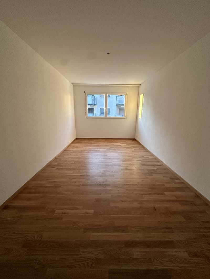 Appartement de 5,5 pièces lumineux à louer dans l'Oberland (6)