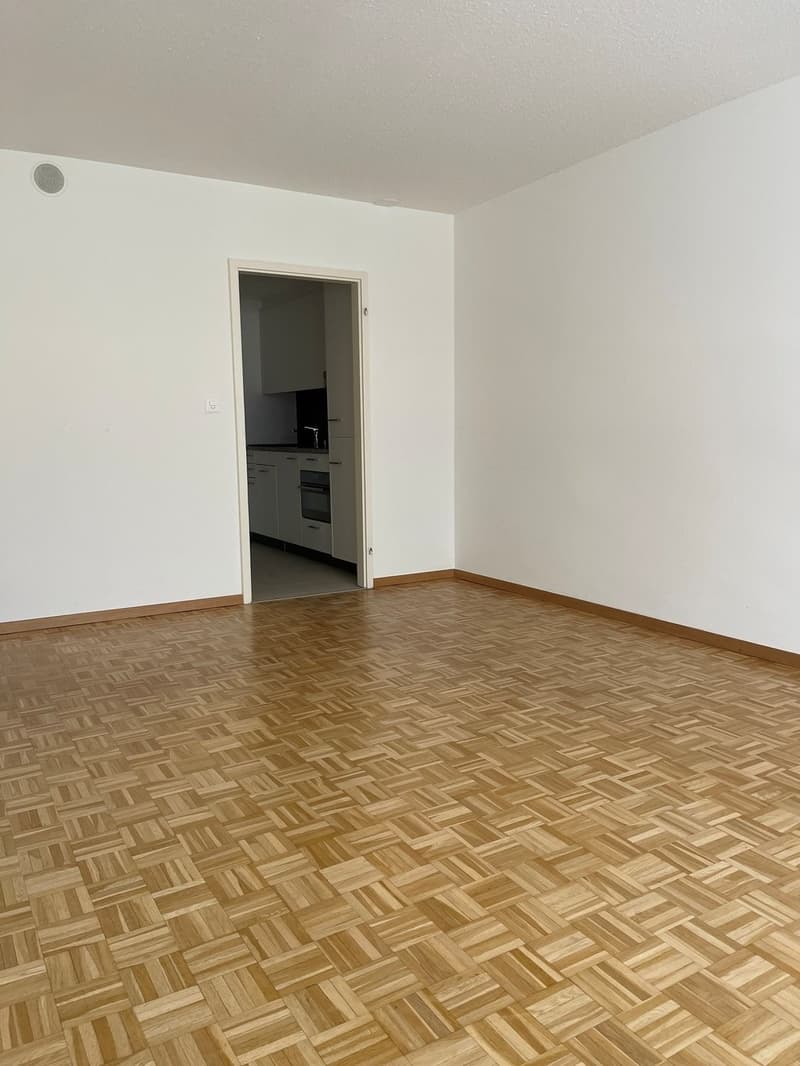 Charmante 1-Zimmer-Wohnung an zentraler Lage in Zürich (7)