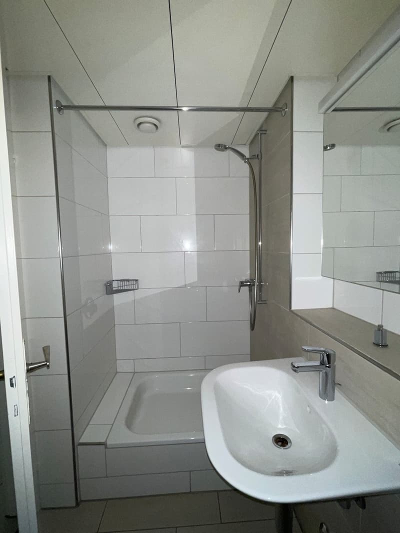 Charmante 1-Zimmer-Wohnung an zentraler Lage in Zürich (3)