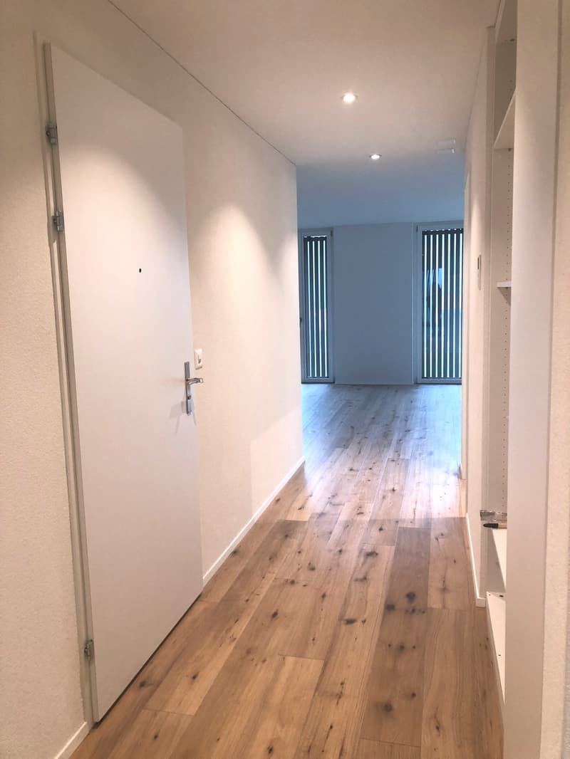 Attractive 3.5-room apartment in a quiet residential area (2)