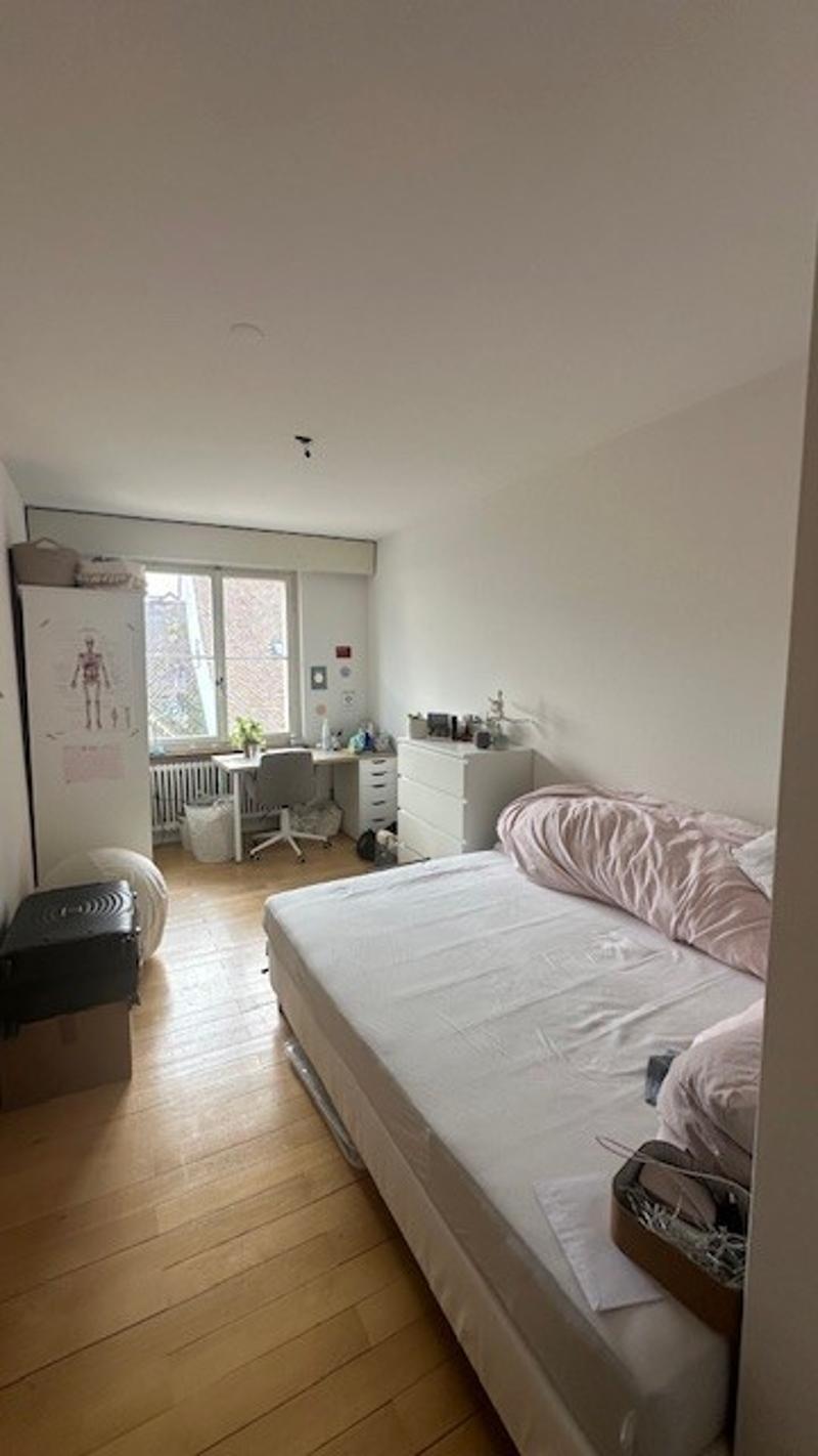 Cozy 5.0-room apartment for rent in Aarau (9)