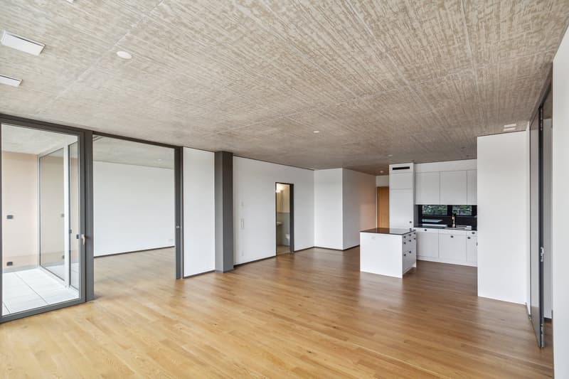 Appartamento moderno 3,5 locali a Lokstadt (2)