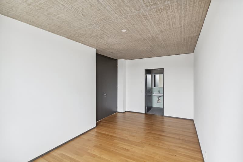 Appartamento moderno 3,5 locali a Lokstadt (7)