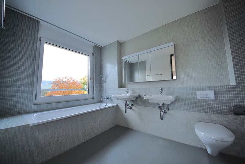 Bel appartement 4.5 pièces à louer (4)