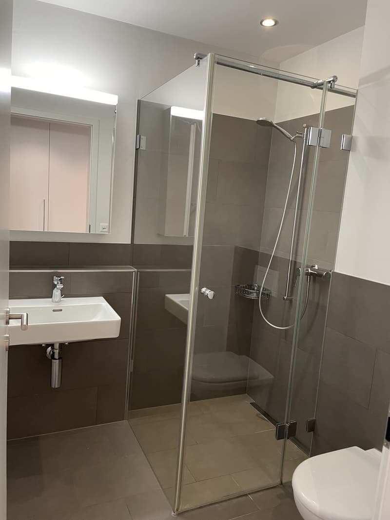 Appartements modernes 3.5 pièces à Wigoltingen (6)