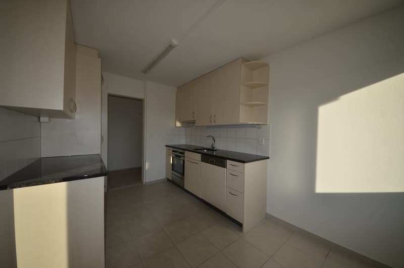 Appartement superbe avec balcon ensoleillé (4)