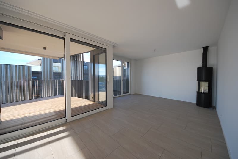 Appartement moderne de 5,5 pièces au rez-de-chaussée dans un quartier calme (5)