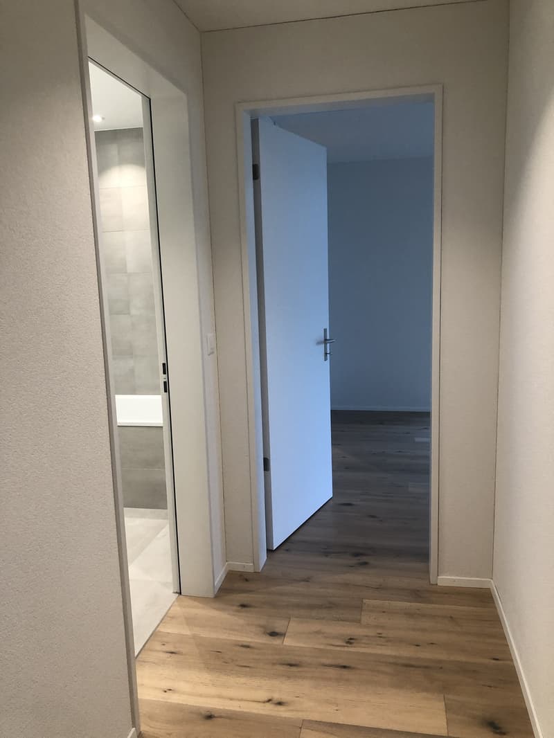 Attractive 3.5-room apartment in a quiet residential area (3)