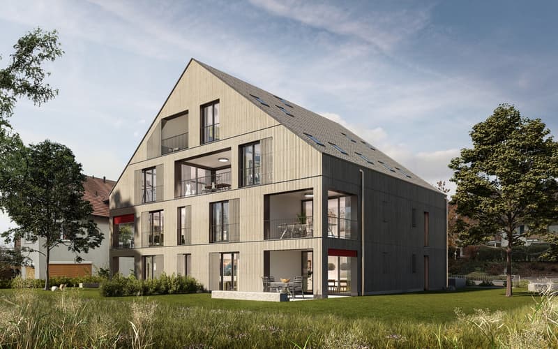 Attractive 3.5-room apartment in a quiet residential area (1)