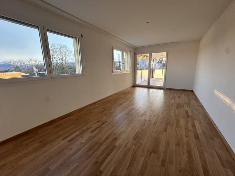 Appartement 5.5 pièces lumineux à louer dans l'Oberland (7)