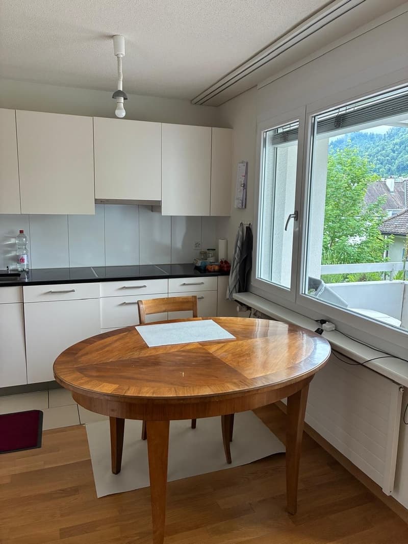 Living with a view of the Uetliberg (4)