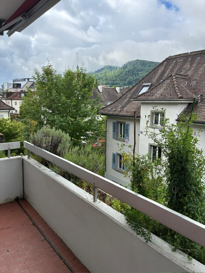Living with a view of the Uetliberg (7)