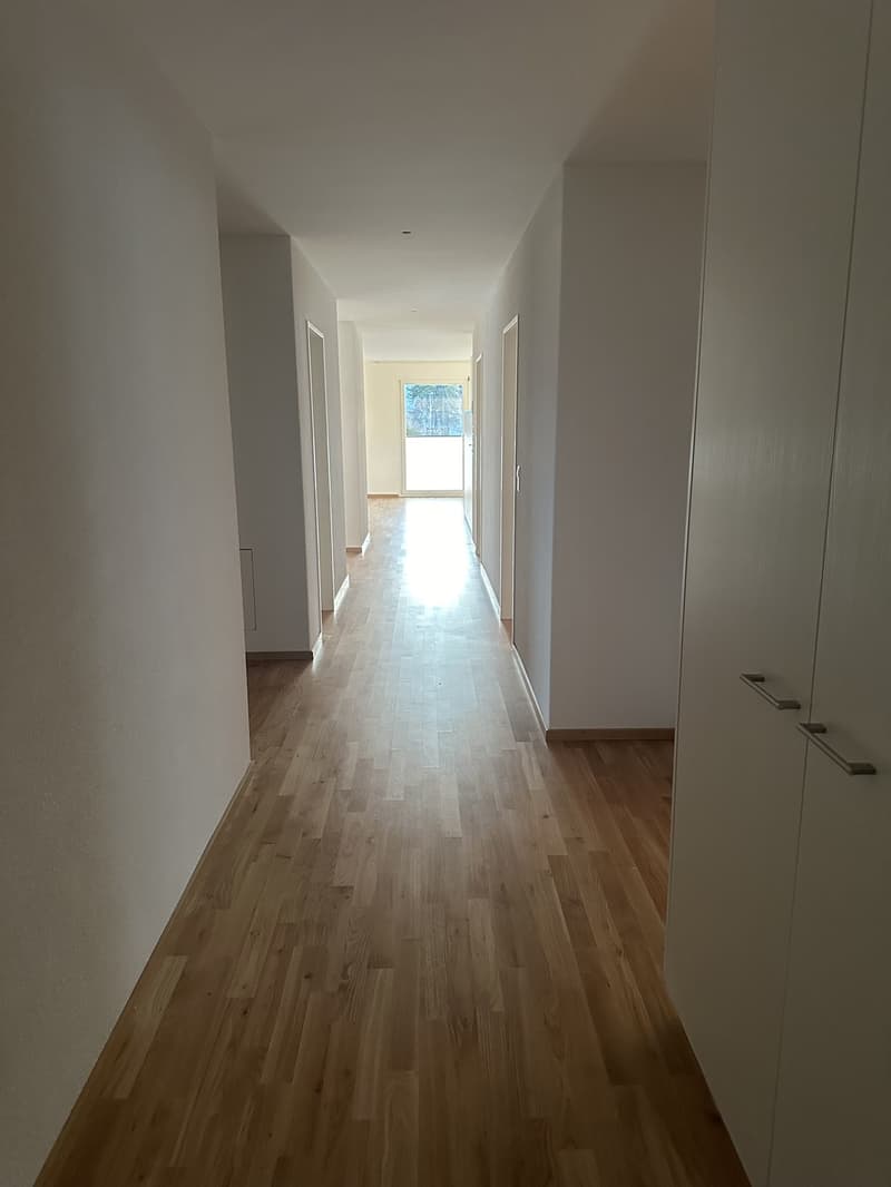 Bright 5.5-room apartment in Oberland for rent (8)