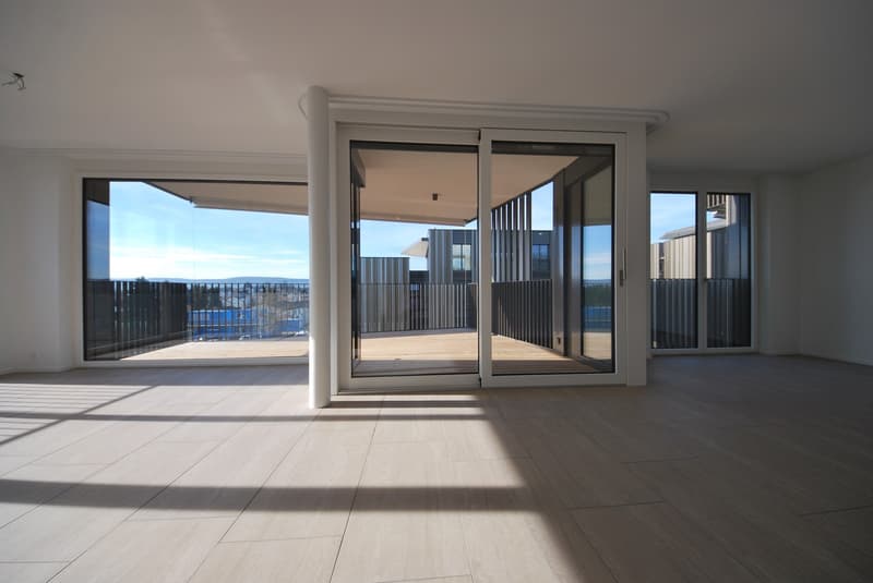Appartamento moderno 5.5 locali al piano terra in un quartiere tranquillo (4)