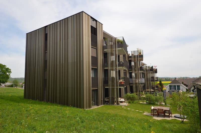 Appartamento moderno 5.5 locali al piano terra in un quartiere tranquillo (1)