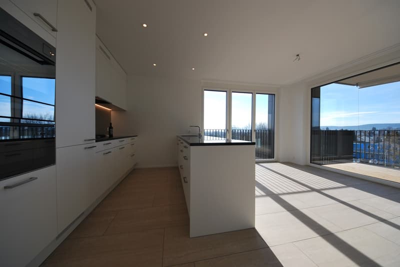 Appartamento moderno 5.5 locali al piano terra in un quartiere tranquillo (3)
