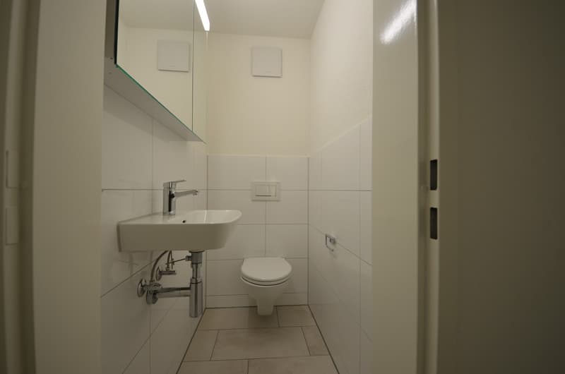 Great apartment with sunny balcony (5)