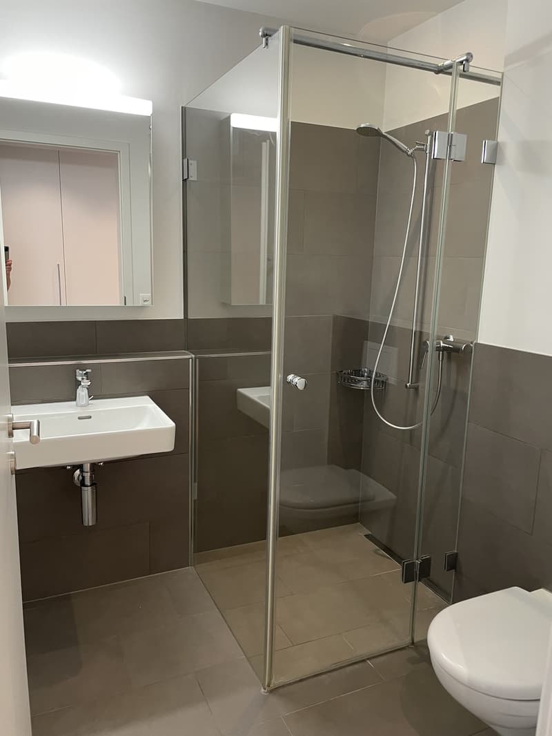 Appartamenti in maisonnette top-moderni di 3,5 locali a Wigoltingen (7)