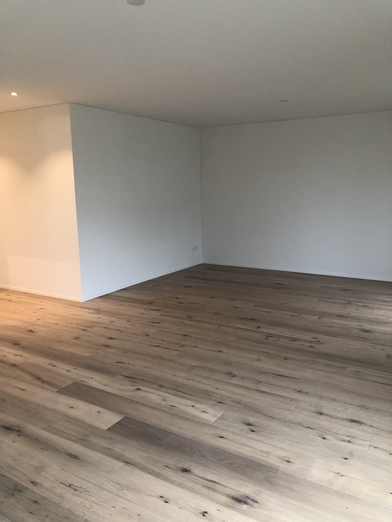 Appartamento attraente di 3,5 locali in un quartiere residenziale tranquillo (9)