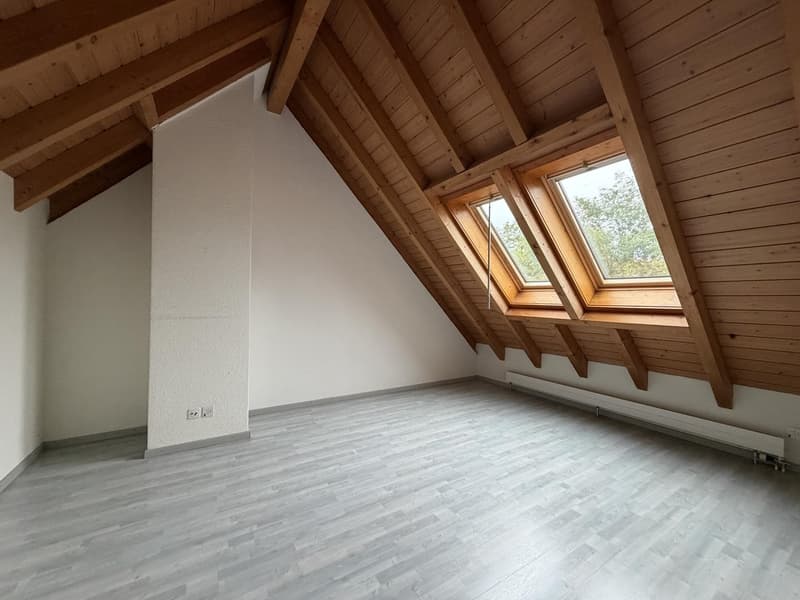 Appartement-maisonnette 5.5 pièces à louer à Aadorf (9)