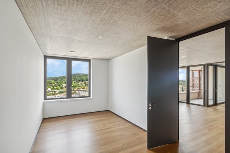 Appartamento moderno di 3,5 locali a Lokstadt (6)