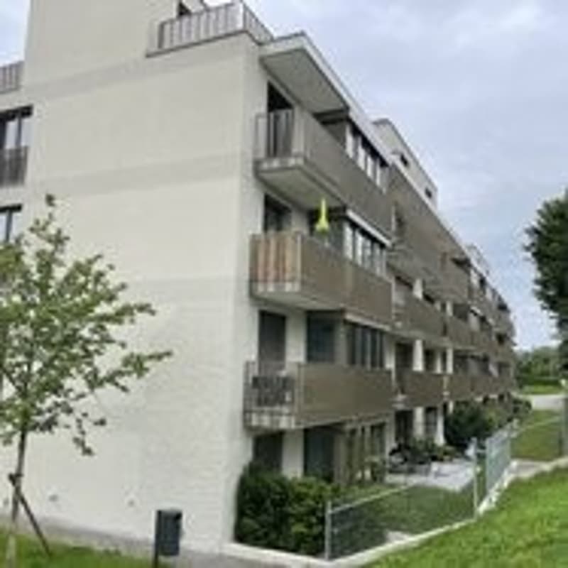 Im Widenwies - 2.5-Attikawohnung zu vermieten (1)