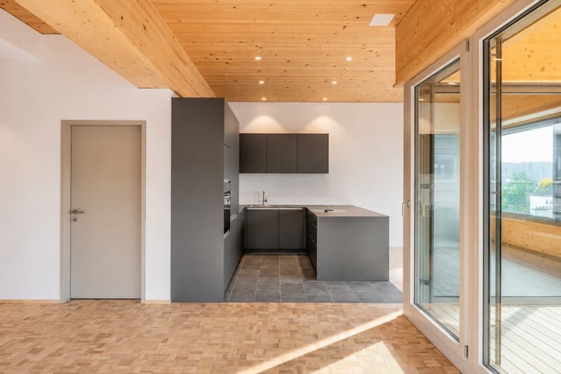 Location pour la première fois : appartement attractif de 4,5 pièces dans la zone commerciale "Gewerbepark Station Nänikon" (4)