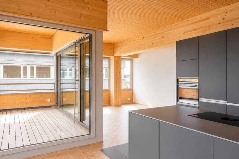 Location pour la première fois : appartement attractif de 4,5 pièces dans la zone commerciale "Gewerbepark Station Nänikon" (2)