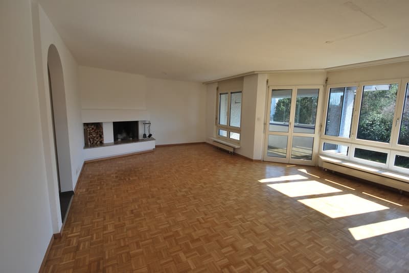 Modern, spacious apartment with a lot of room feeling, fireplace and sunny balcony/winter garden (2)