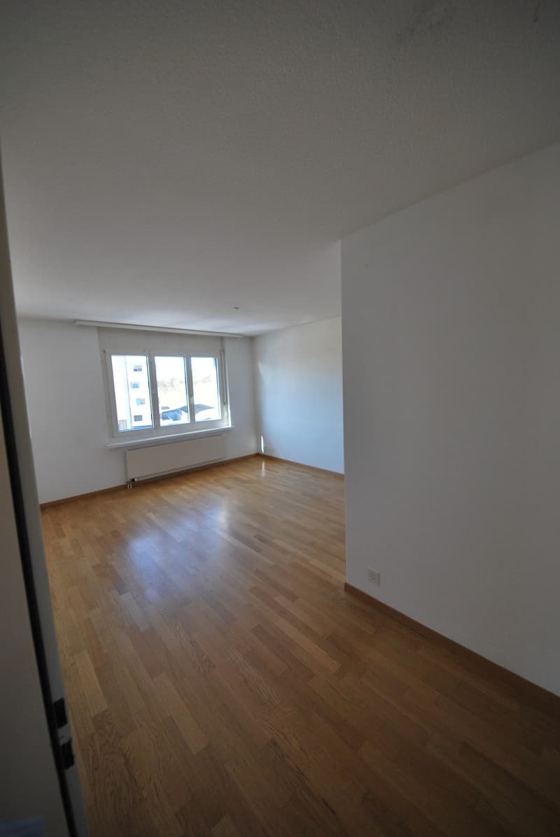 Modern, spacious apartment with a lot of room feeling, fireplace and sunny balcony/winter garden (5)