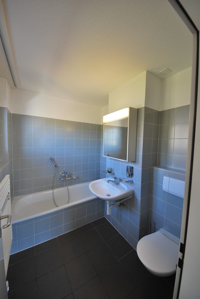 Modern, spacious apartment with a lot of room feeling, fireplace and sunny balcony/winter garden (6)