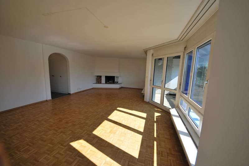 Modern, spacious apartment with a lot of room feeling, fireplace and sunny balcony/winter garden (3)